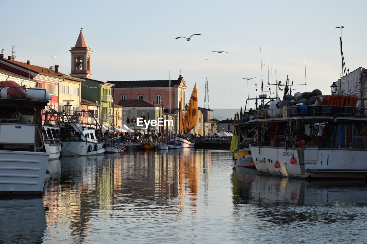 SAILBOATS IN HARBOR