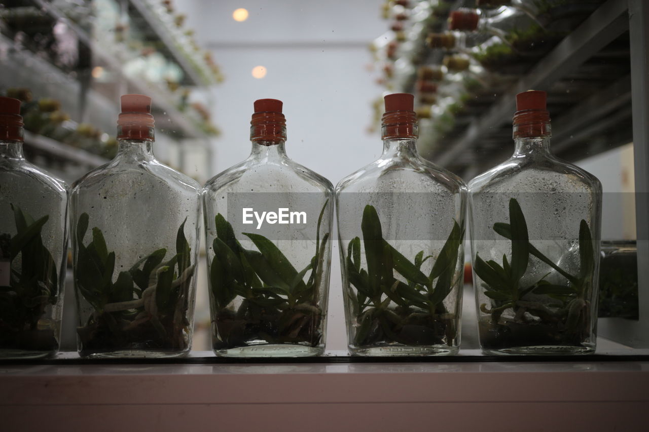 CLOSE-UP OF BOTTLES ON GLASS WINDOW WITH VIEW OF WINE