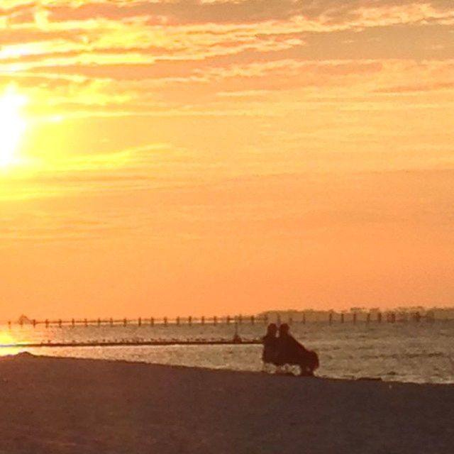 DOG STANDING ON BEACH AT SUNSET