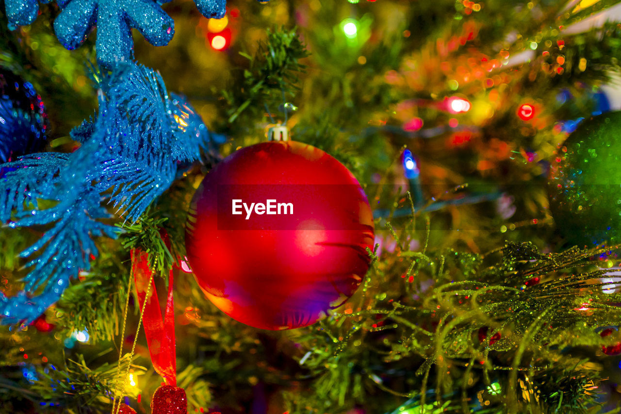 Close-up of red bauble on christmas tree