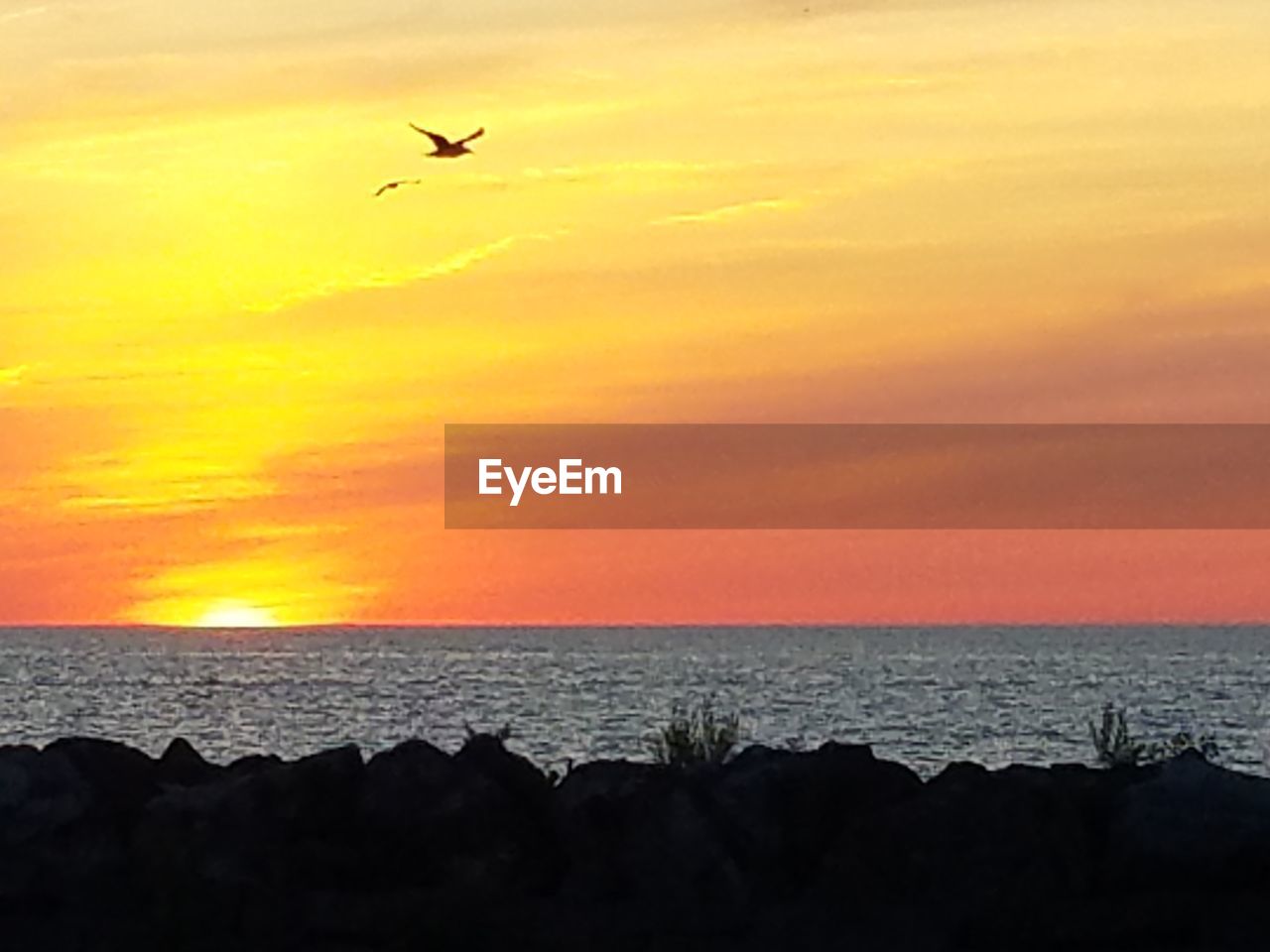 SCENIC VIEW OF SEA AGAINST ORANGE SKY