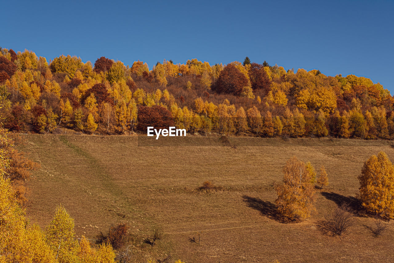 Beautiful autumn landscapes in the romanian cindrel mountains, fantanele village, sibiu county