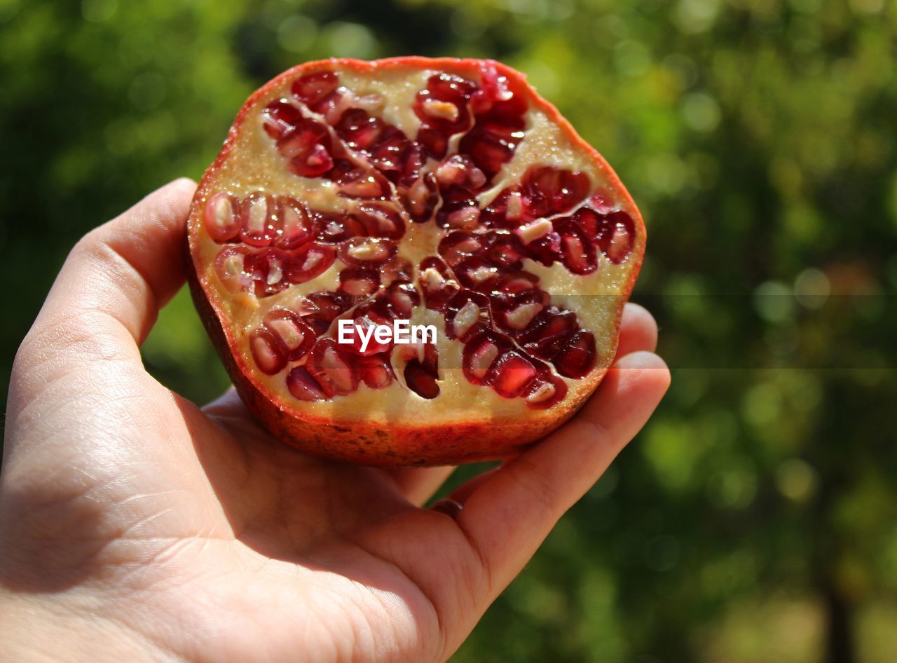 Cropped hand of person holding halved pomegranate
