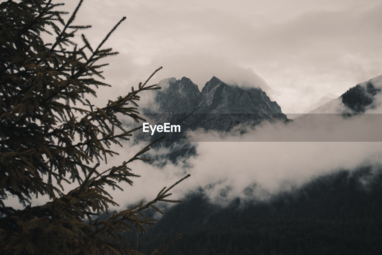 Foggy mountains - atmospheric mood