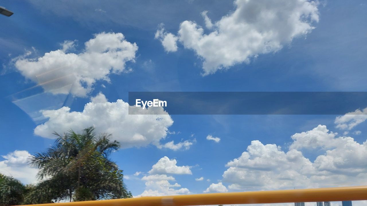 LOW ANGLE VIEW OF TREES ON LANDSCAPE AGAINST SKY