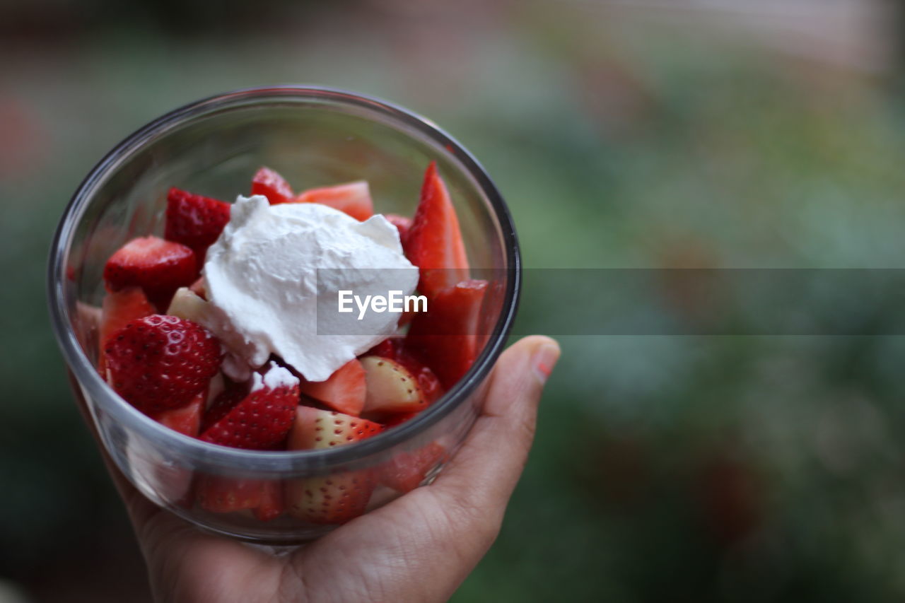 Close-up of hand holding a bowl of strawberries