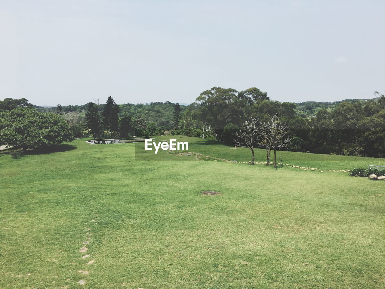 TREES ON FIELD AGAINST SKY