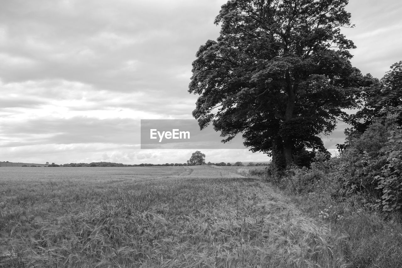 Scenic view of field against cloudy sky