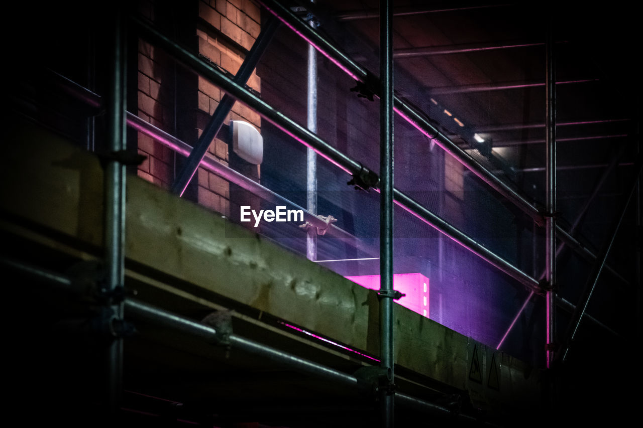 A night time photo of a purple neon sign, partially obscured by scaffolding