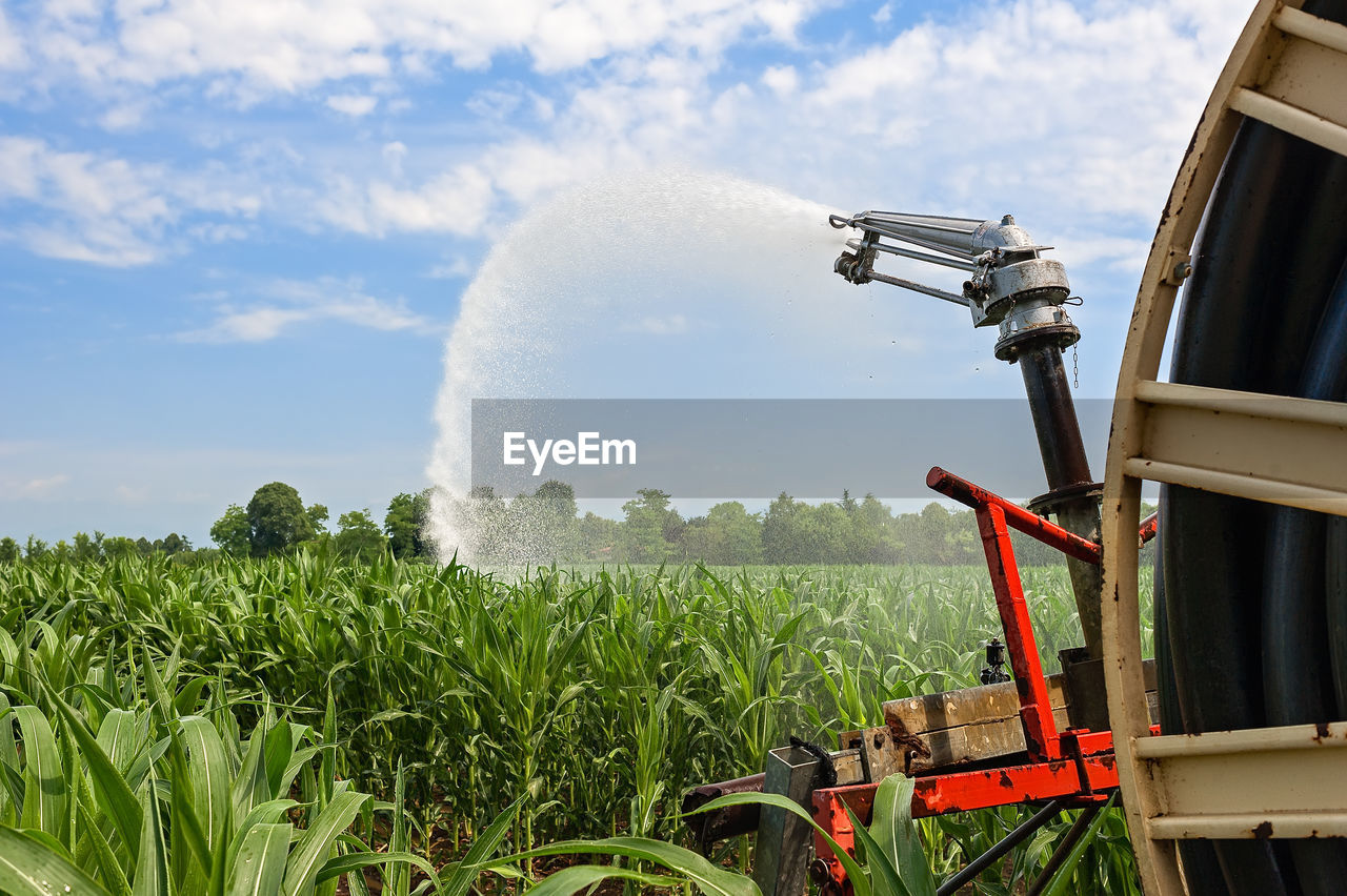 Water spraying on crops at farm against sky