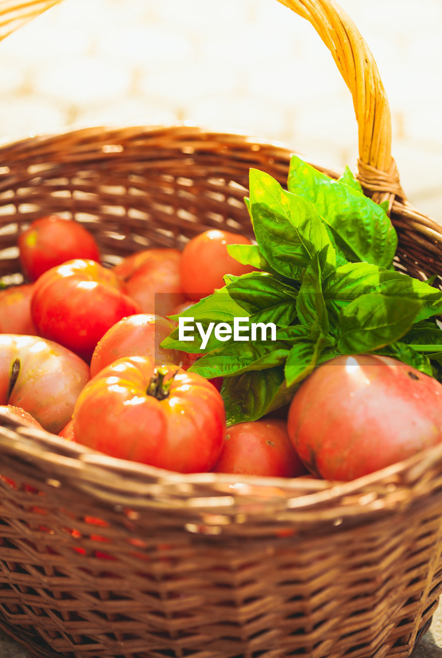 CLOSE-UP OF TOMATOES IN WICKER BASKET