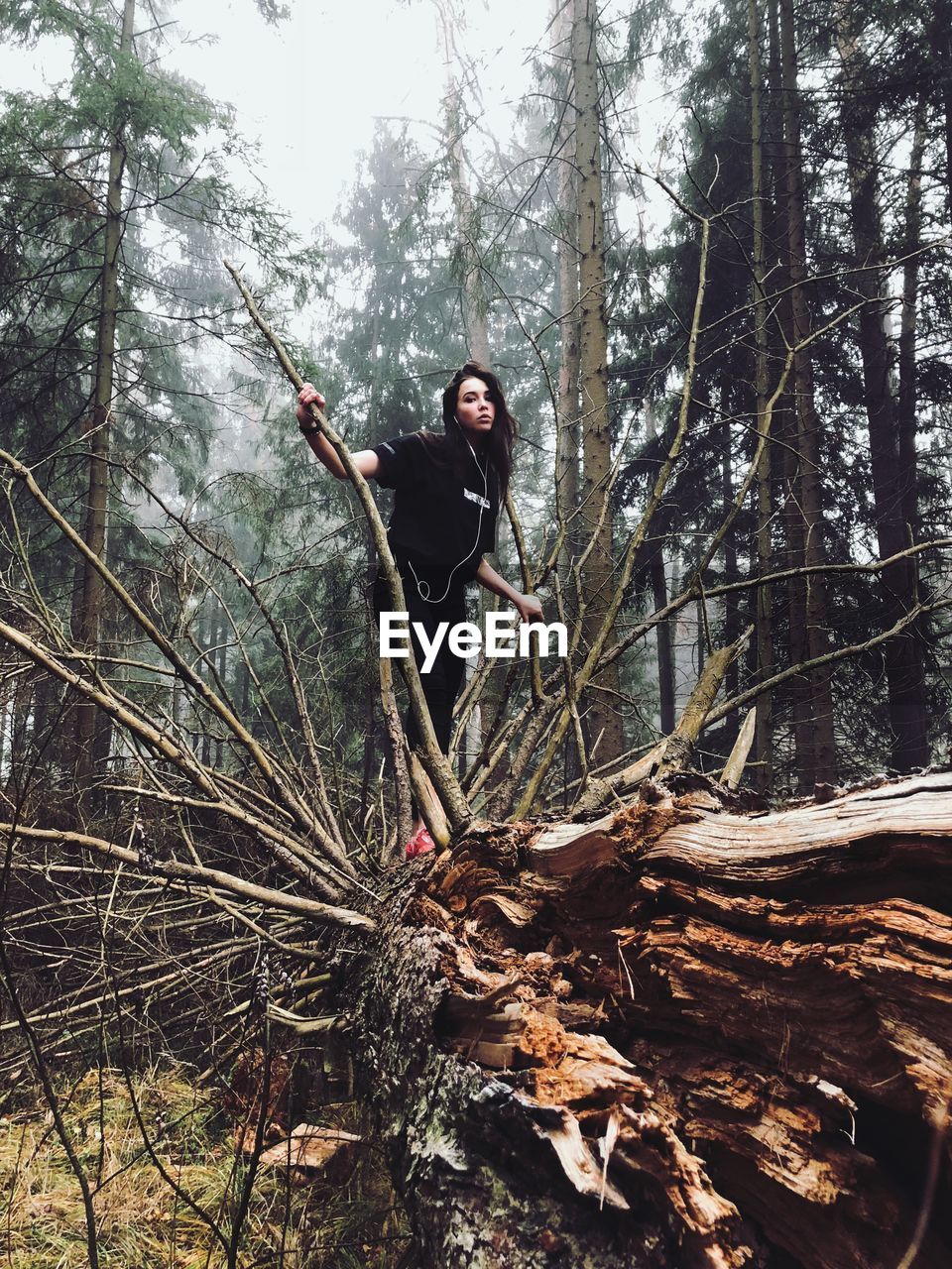 Woman standing on fallen tree in forest