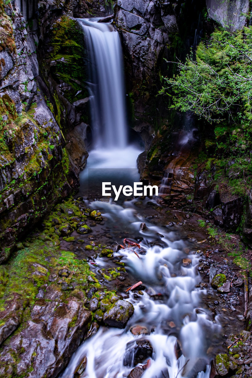 Scenic view of waterfall in forest