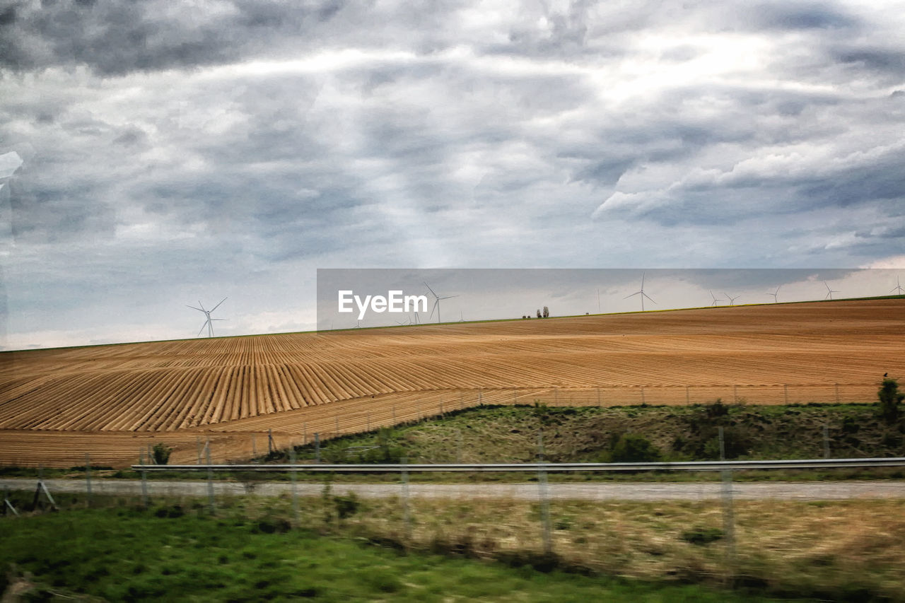 FIELD AGAINST SKY