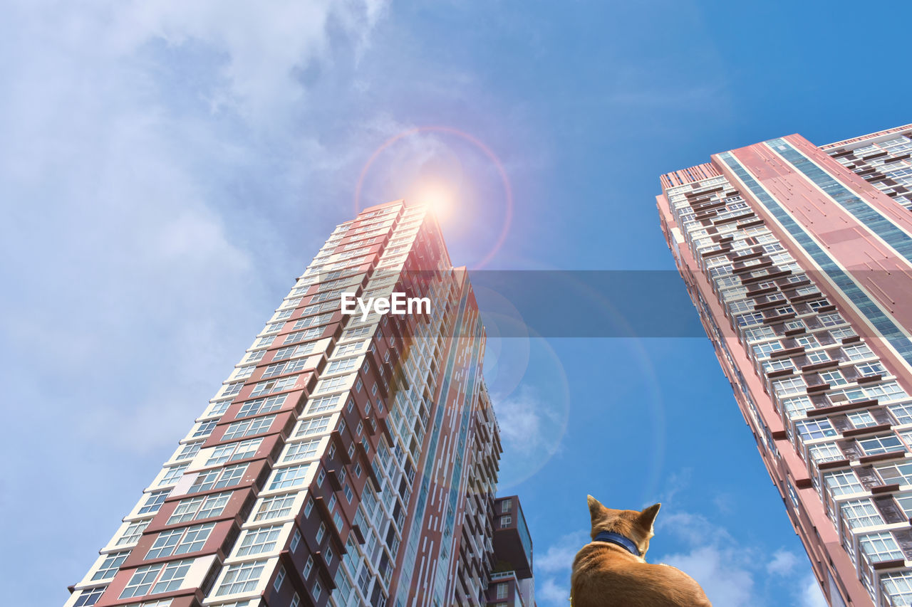 LOW ANGLE VIEW OF BUILDINGS AGAINST SKY IN CITY