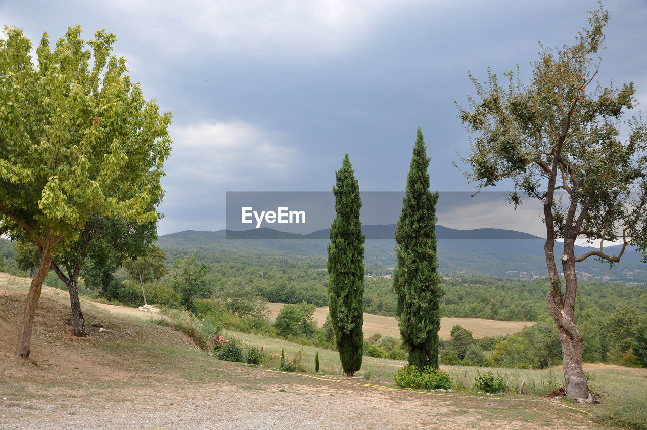PANORAMIC VIEW OF TREES AND LANDSCAPE AGAINST SKY