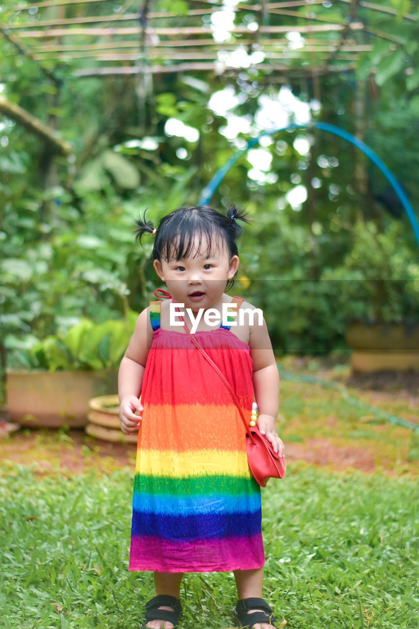 childhood, child, one person, plant, green, full length, grass, toddler, smiling, cute, dress, front view, happiness, women, female, person, nature, portrait, innocence, emotion, clothing, flower, standing, black hair, casual clothing, outdoors, day, lifestyles, human face, looking at camera, front or back yard, fun, baby, cheerful, bangs, holding, tree, leisure activity, yellow, spring