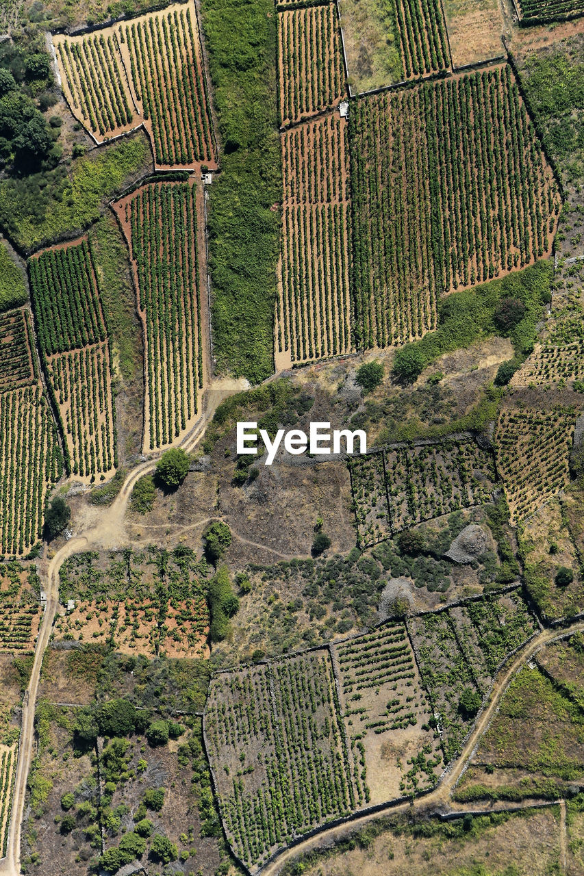 Aerial view of the farms in hvar island, croatia