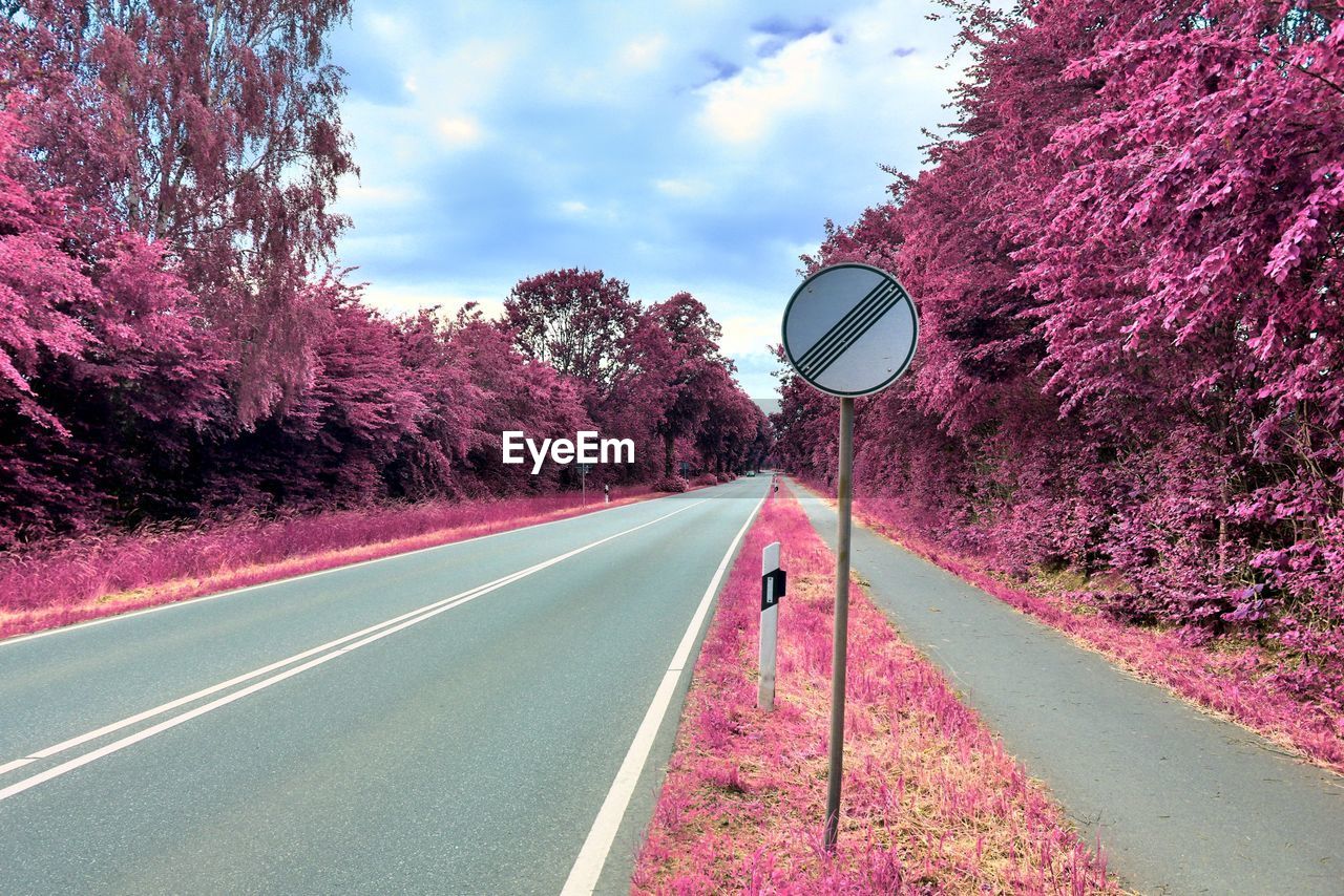 Road amidst trees against sky