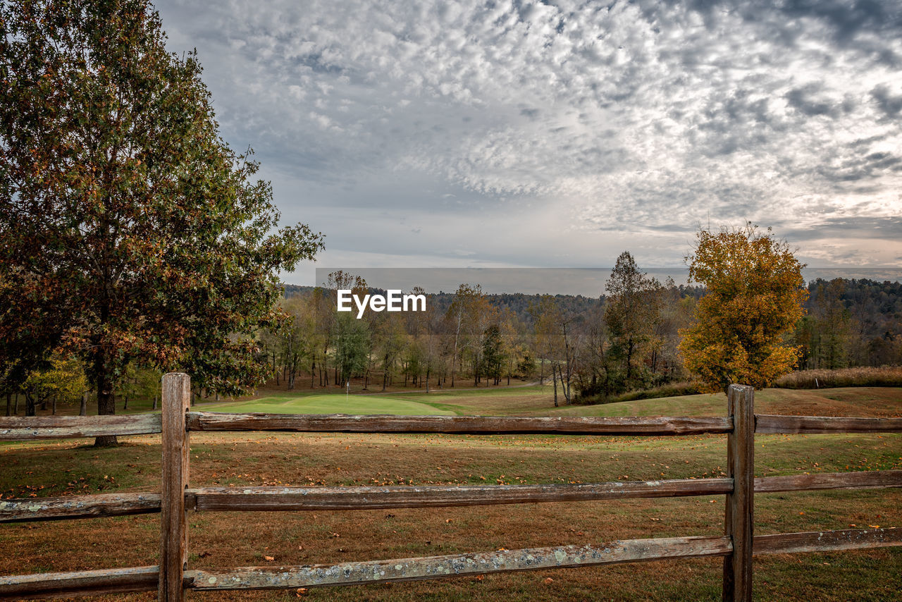 Trees on field against sky