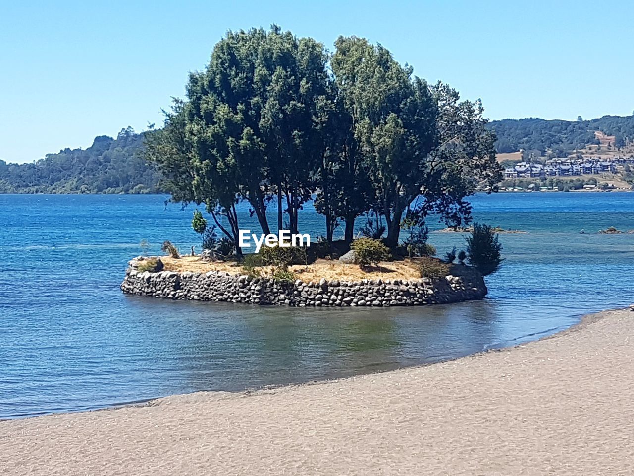 TREES BY SEA AGAINST CLEAR SKY