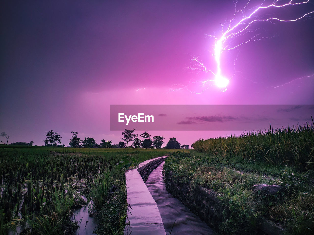 PANORAMIC VIEW OF LIGHTNING OVER FIELD AGAINST SKY