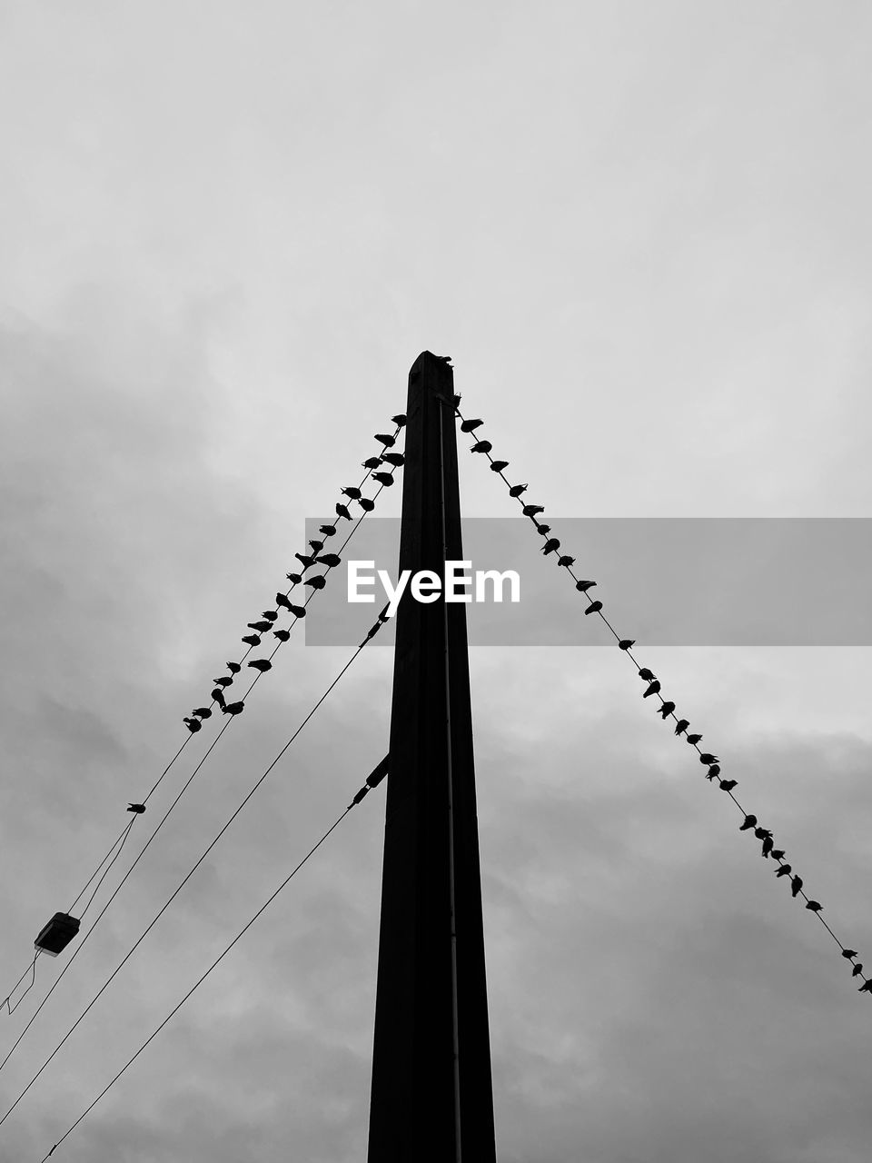 LOW ANGLE VIEW OF CABLES AGAINST SKY