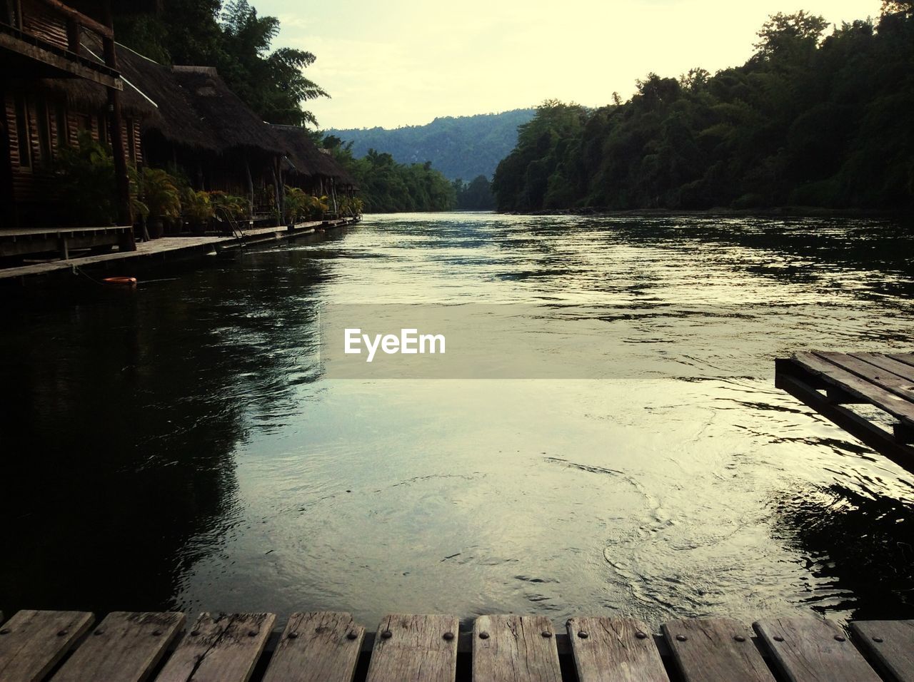 Scenic view of river by trees