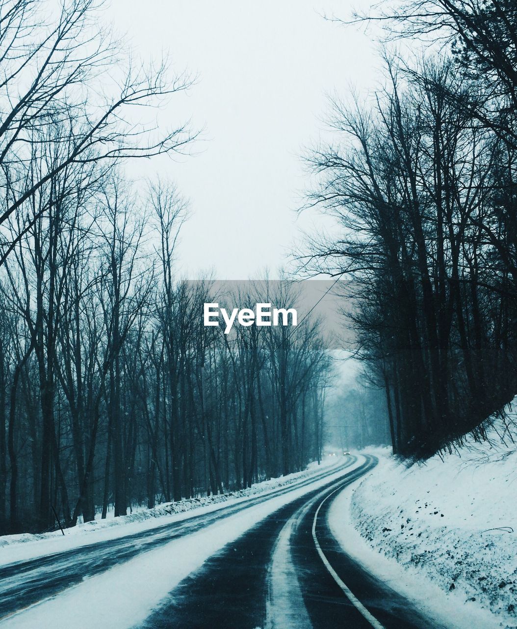 Road amidst trees against sky during winter