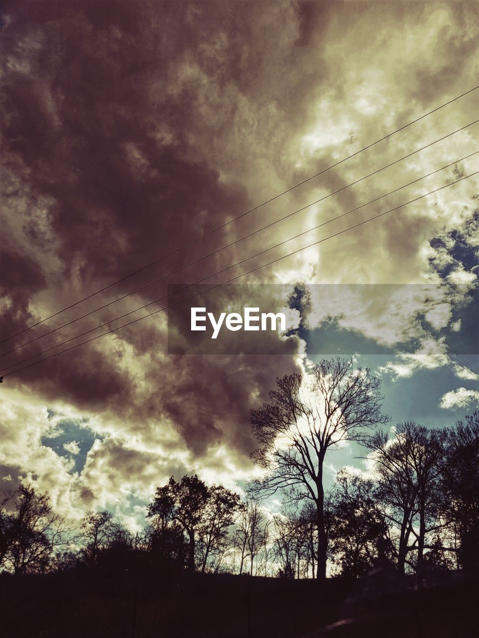 LOW ANGLE VIEW OF SILHOUETTE TREES AGAINST SKY