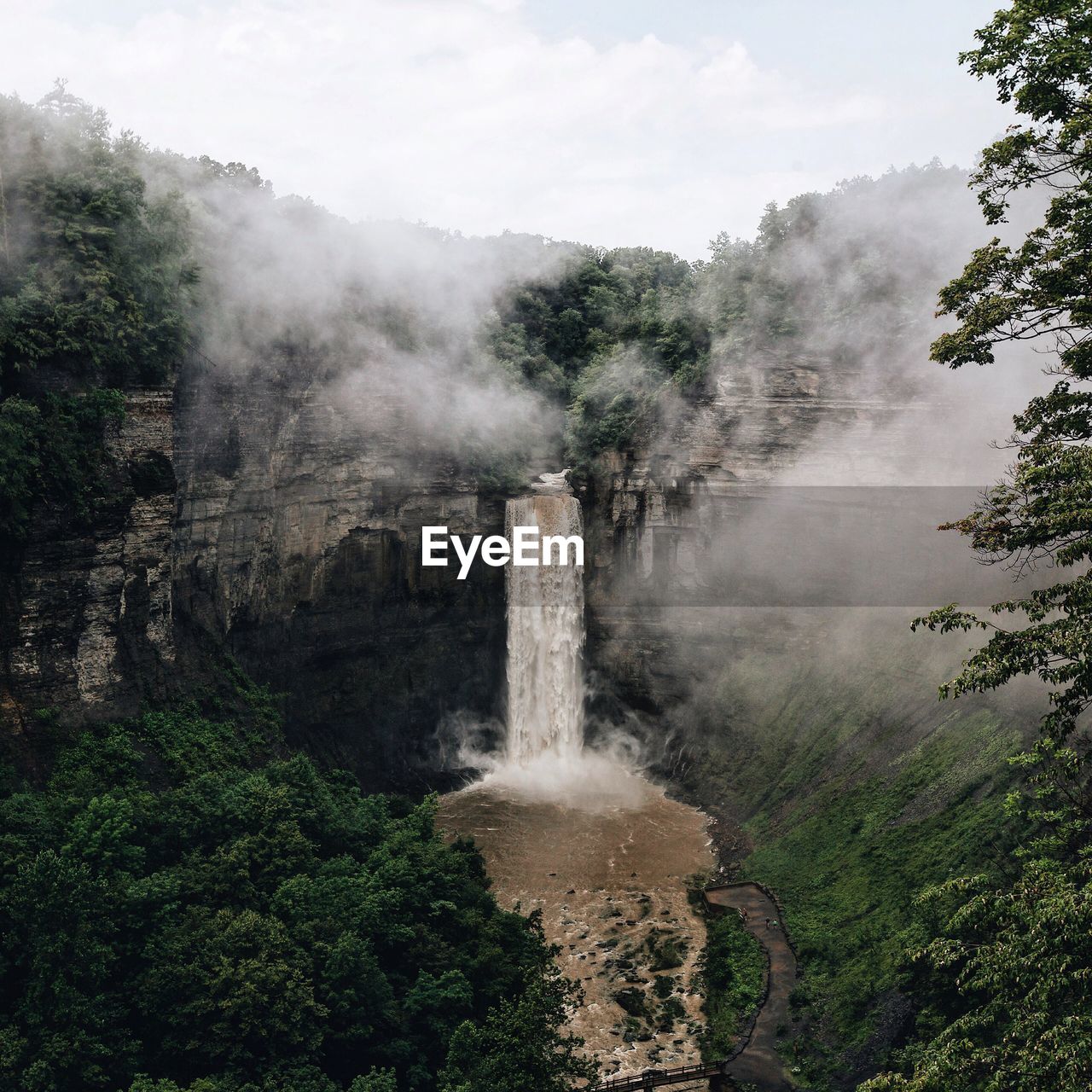 Scenic view of waterfall in forest