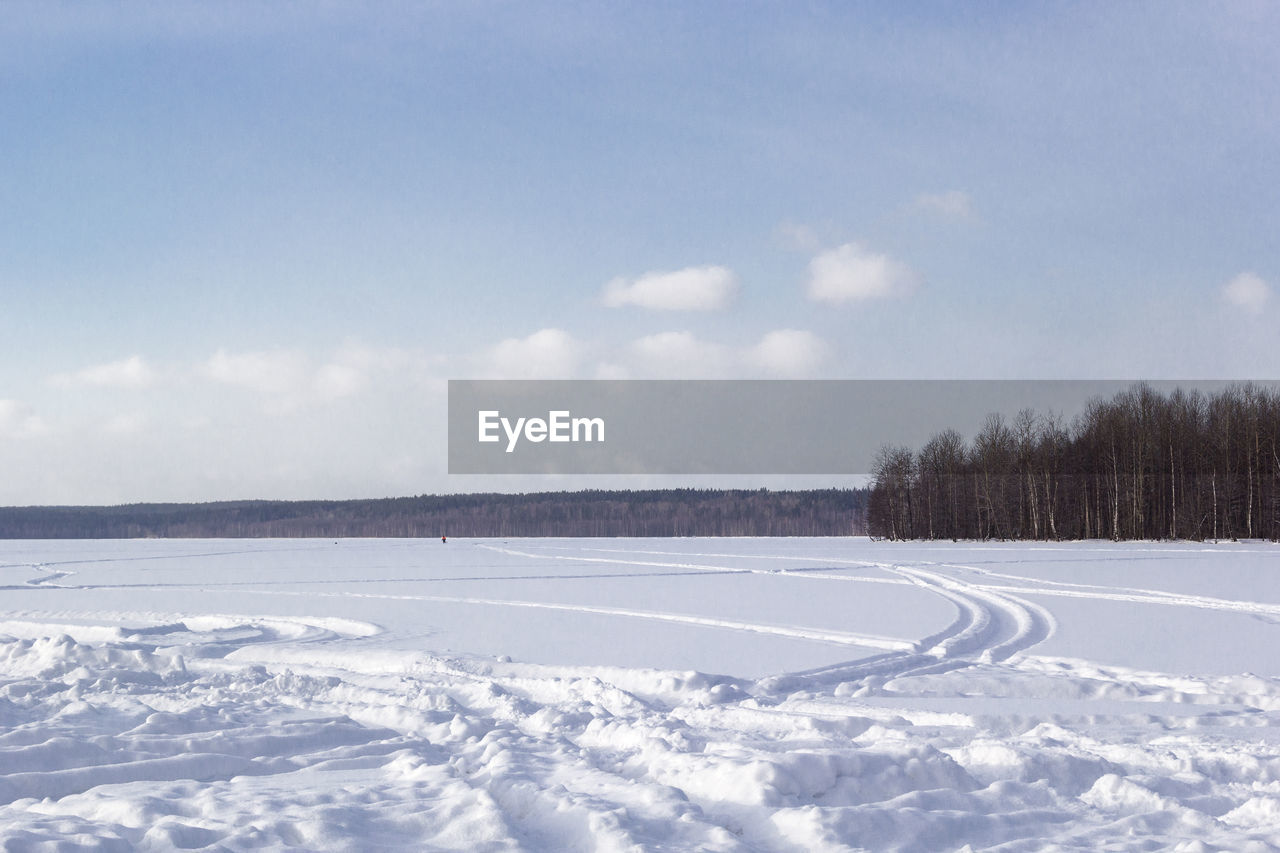 Beautiful winter landscape with field of white snow and forest on horizon on sunny frosty day.