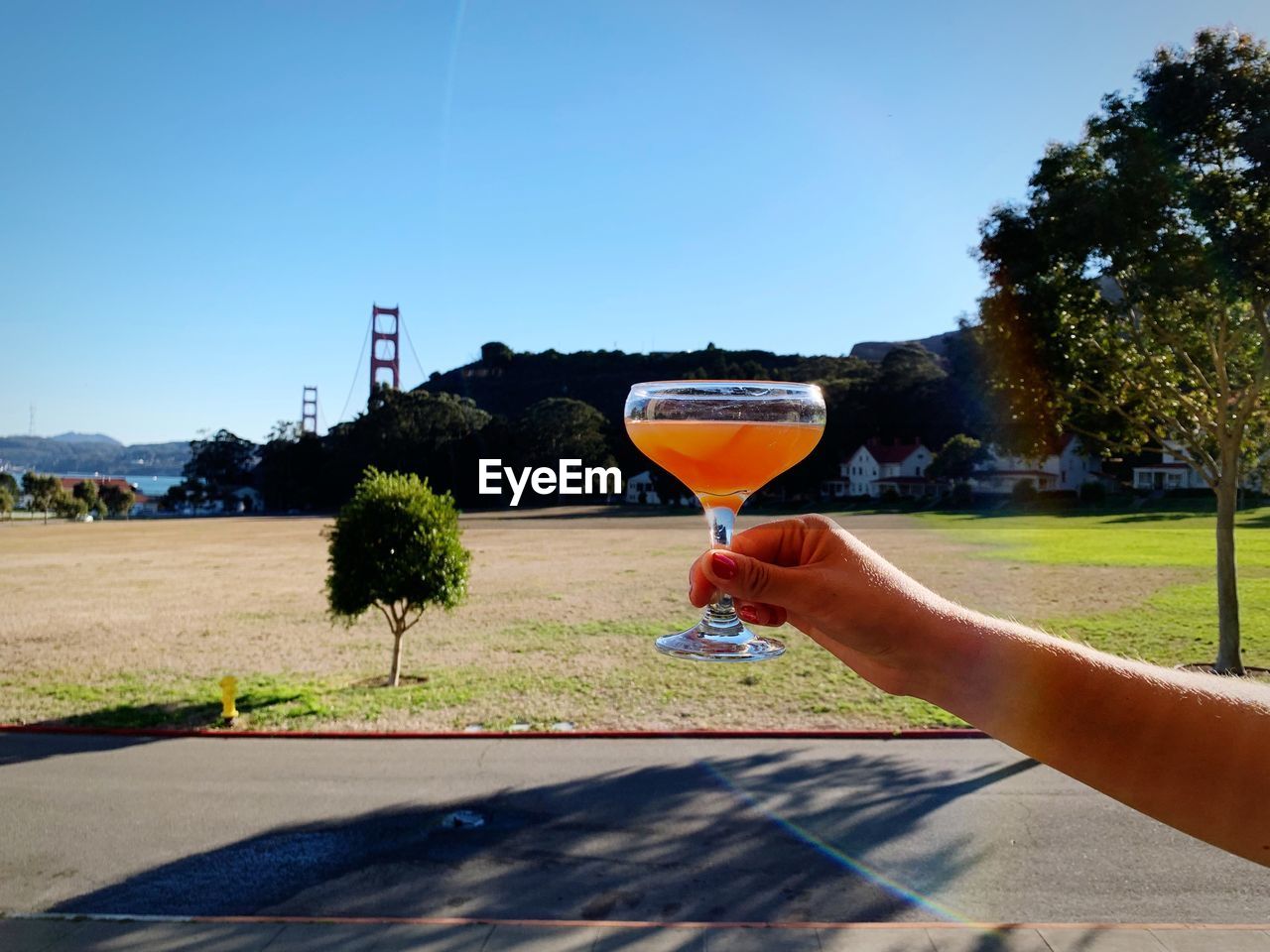 Person holding drink against sky