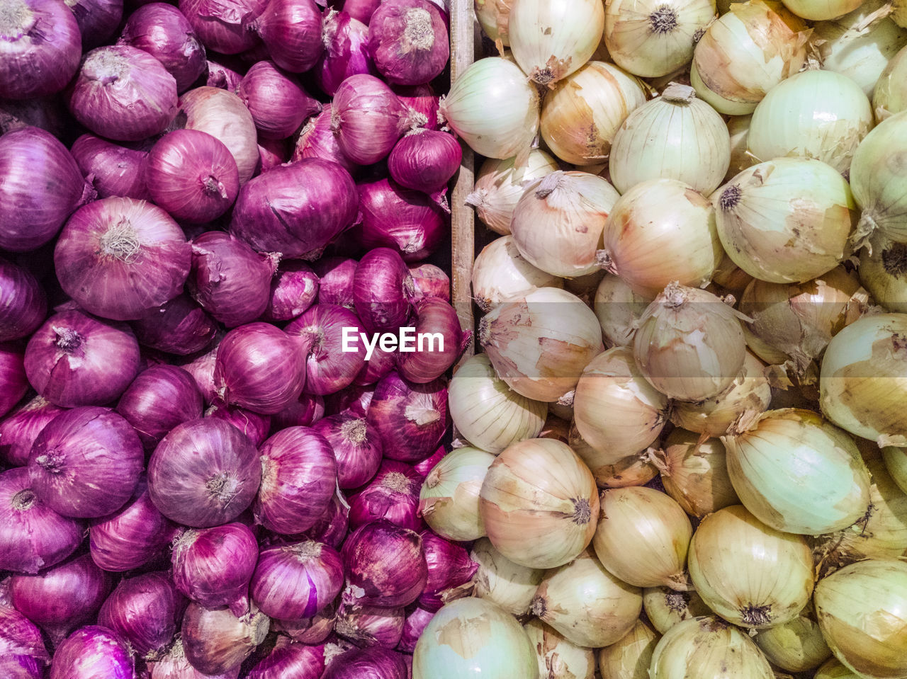 FULL FRAME SHOT OF ONIONS IN MARKET