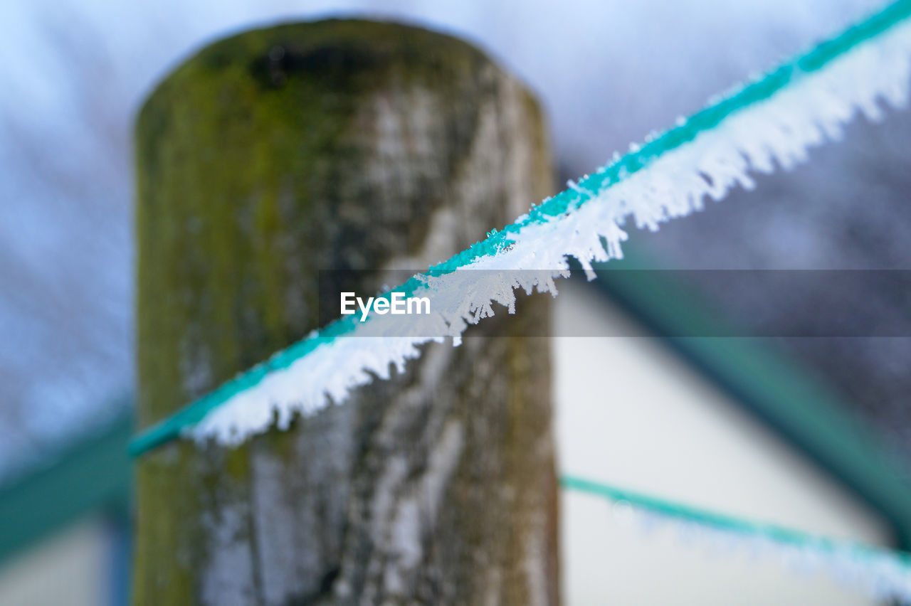 Close-up of snow on rope