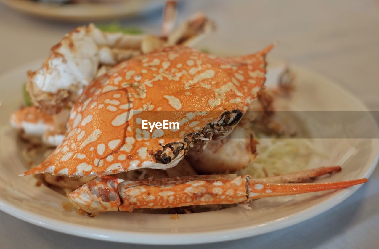 Close-up of crab in plate on table