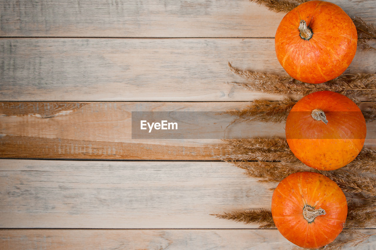 food and drink, food, wood, healthy eating, orange color, freshness, wellbeing, pumpkin, produce, no people, fruit, vegetable, still life, indoors, celebration, studio shot, autumn, backgrounds, high angle view, directly above, plank, plant, orange, group of objects, citrus fruit, organic, rustic, agriculture, table, copy space, nature