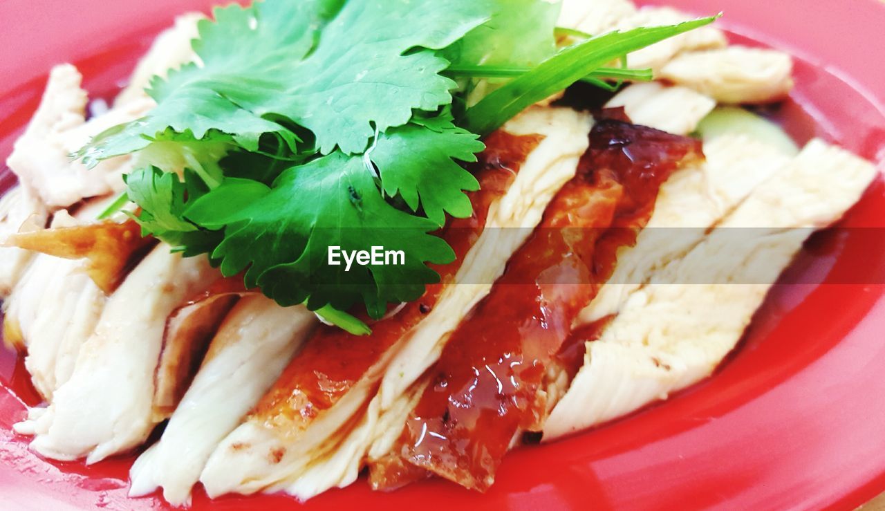 CLOSE-UP OF MEAT WITH SALAD