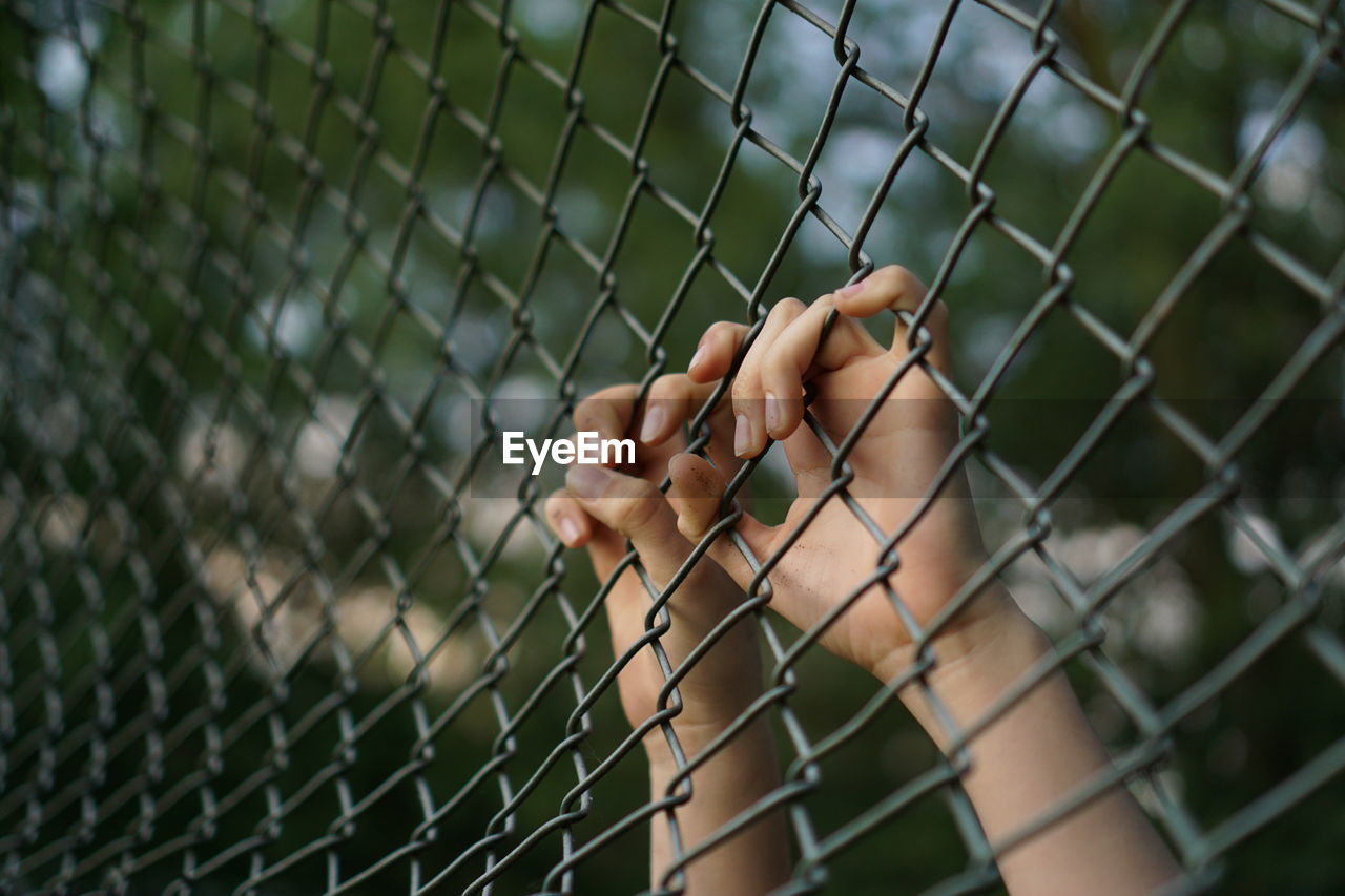 Cropped hands holding chainlink fence