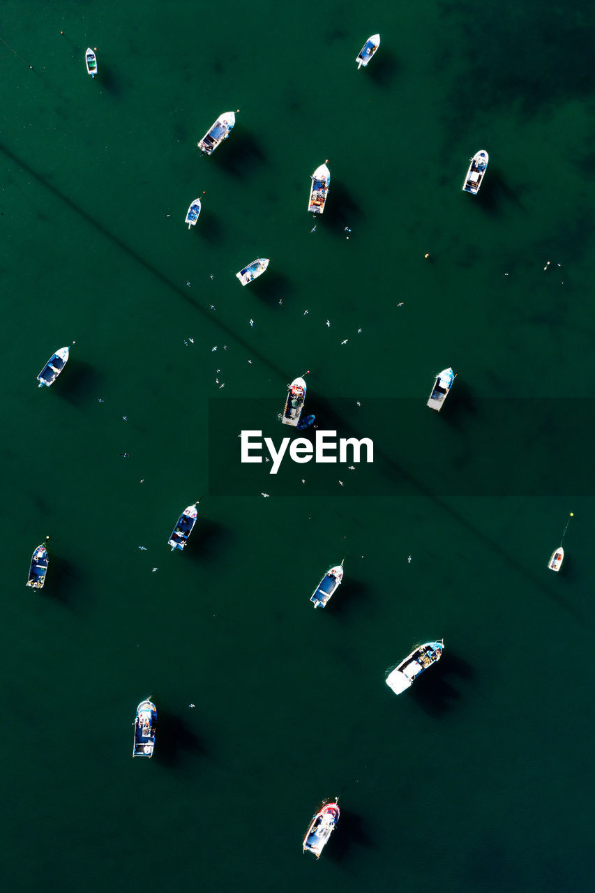 High angle view of birds and boats in water