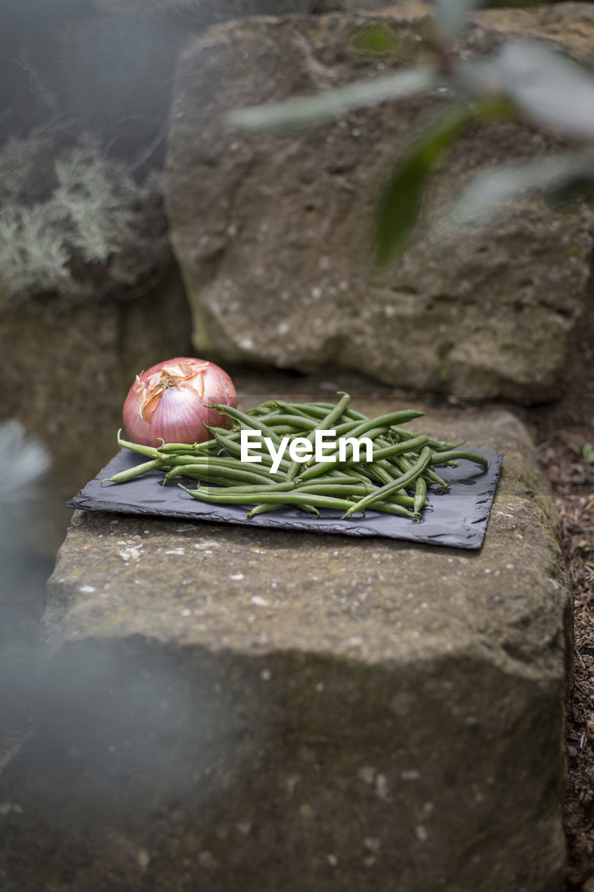 High angle view of vegetables on rock