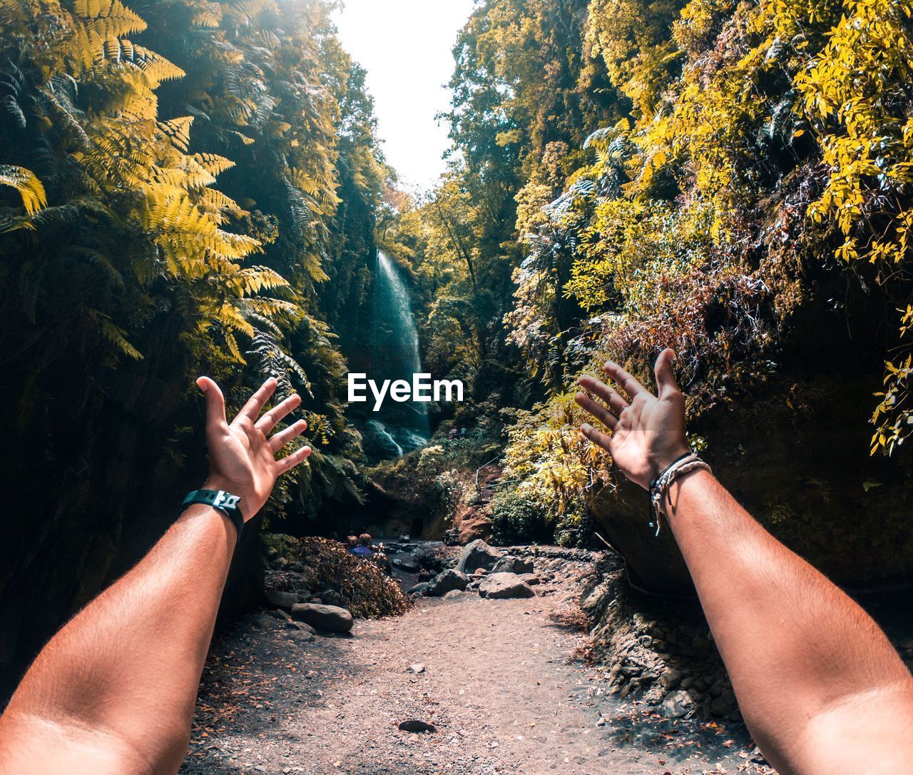 Cropped hands of man reaching waterfall in forest