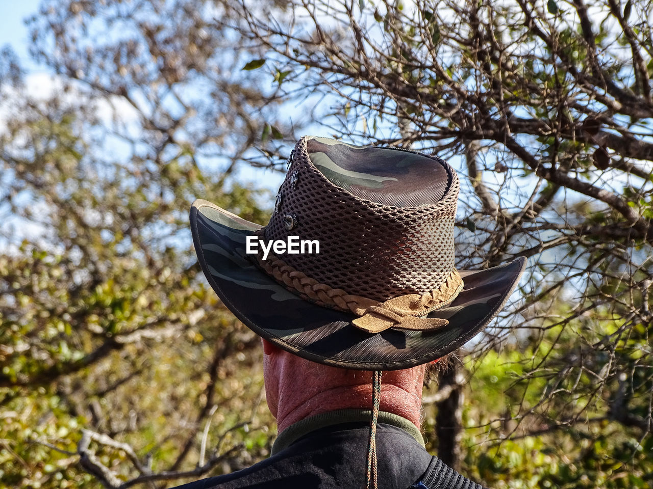 Low angle view of person against trees