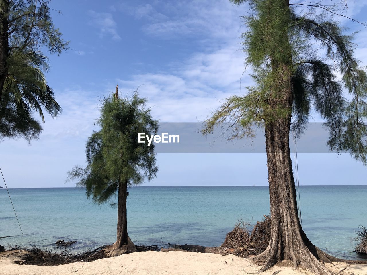 water, tree, sea, beach, sky, land, plant, nature, scenics - nature, beauty in nature, horizon over water, shore, body of water, tranquility, horizon, tropical climate, palm tree, tranquil scene, sand, vacation, day, coast, ocean, no people, outdoors, cloud, travel destinations, blue, idyllic, tree trunk, trunk, coconut palm tree, sunlight, travel, environment, coastline, non-urban scene, bay, tropics, holiday, landscape, trip