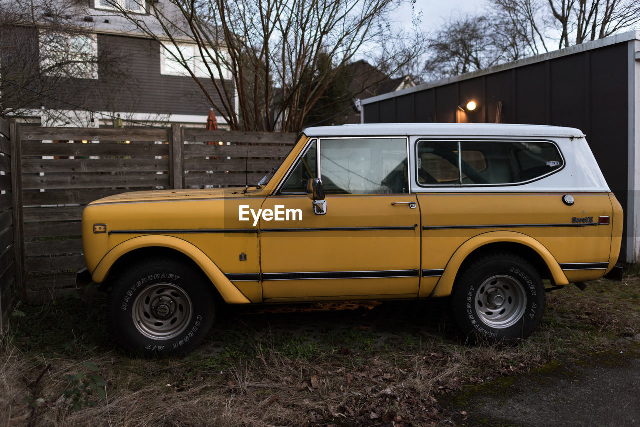 VINTAGE CAR ON YELLOW TREE