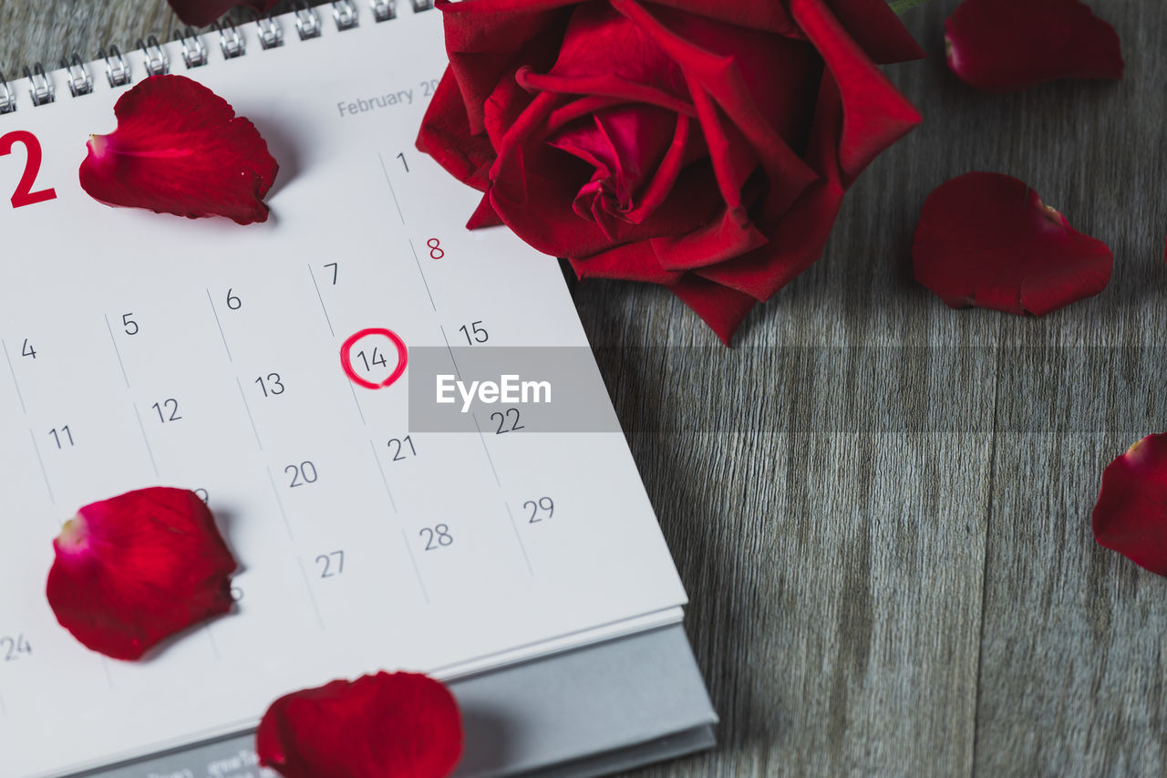 White calendar and red roses placed on a gray wooden, top view and copy space, valentine's day theme