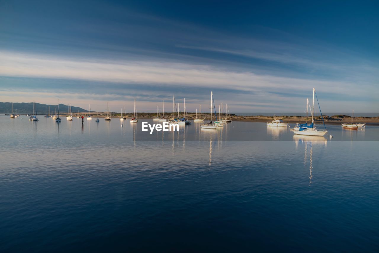 SAILBOATS IN SEA