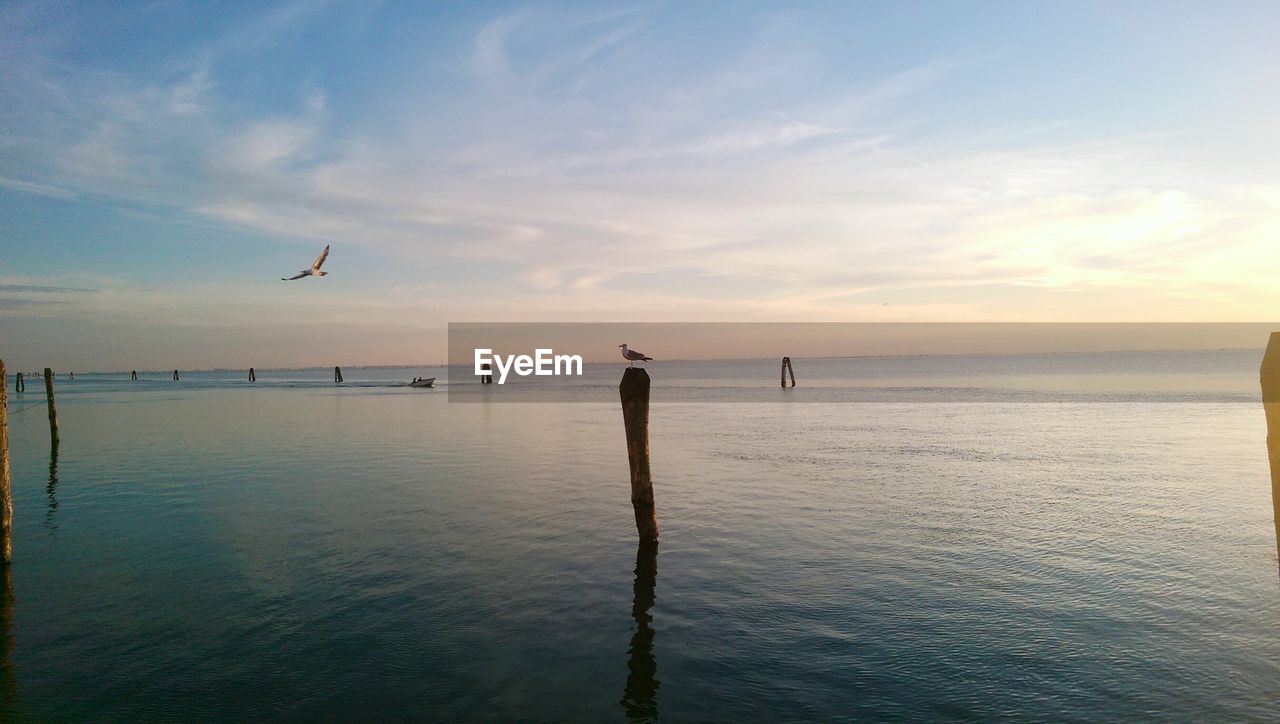 SCENIC VIEW OF SEA DURING SUNSET