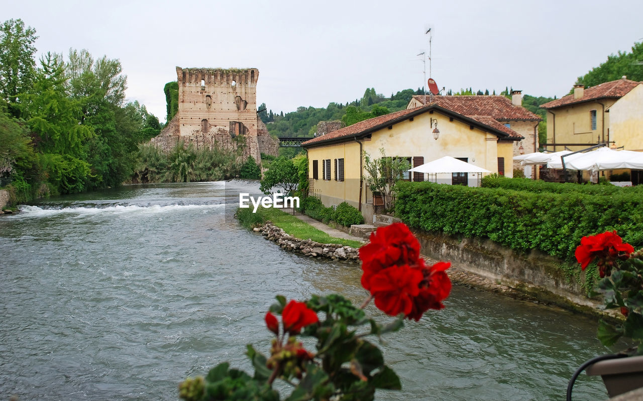 VIEW OF FLOWERING PLANTS BY RIVER AGAINST BUILDING