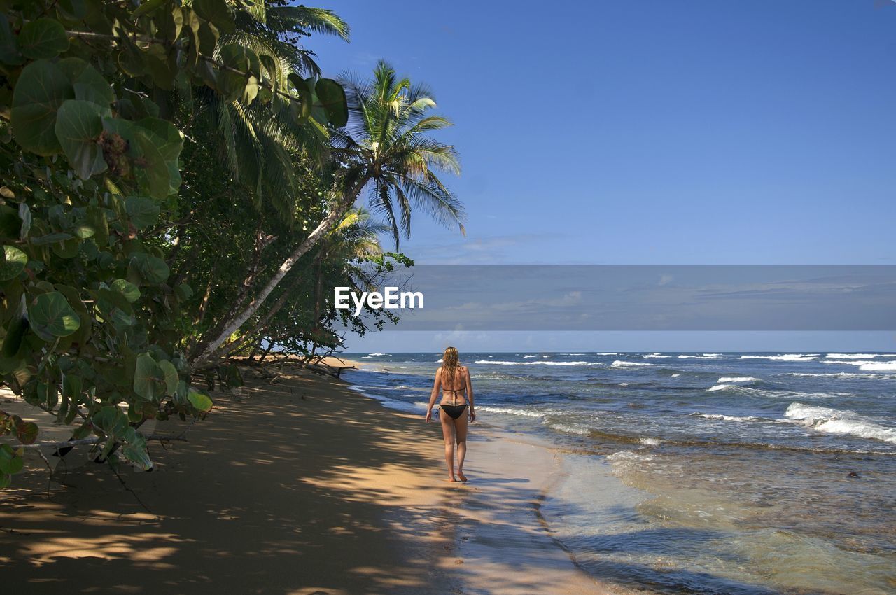 Rear view of woman walking on shore at beach